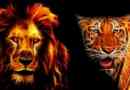 Хто виграє бій? Лев або тигр