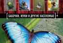 Комахи червоної книги росії