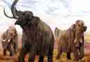 Стало відомо, чому мамонти вимерли