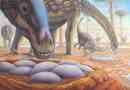 Вчені визначили температуру тіла динозавра: яєчна оболонка допомогла