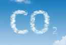 Діоксид вуглецю - вид і звідки він з'являється
