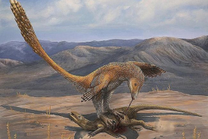 10 Фактів про деноніч грозний cogte 10 Фактів про деноніч грозний cogte