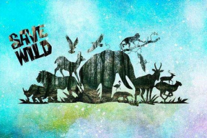 Міжнародна червона книга - основна інформація та значення Міжнародна червона книга - основна інформація та значення