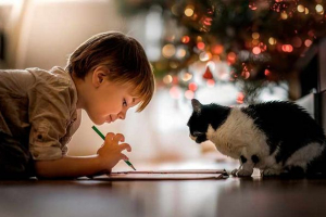 10 Найбільш ласкавих і дружніх котячих порід 10 Найбільш ласкавих і дружніх котячих порід