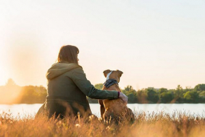450 Найкращих прислів'я про собак 450 Найкращих прислів'я про собак