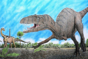 Автор Автор