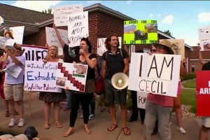 Американські зоошки вимагають від влади, щоб дати вбивцю лев сесіл Американські зоошки вимагають від влади, щоб дати вбивцю лев сесіл