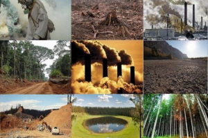 Антропогенні фактори Антропогенні фактори