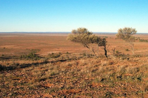 Посушливий і вологий клімат Посушливий і вологий клімат