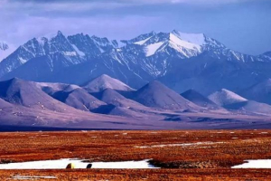 Арктичні пустелі північної америки Арктичні пустелі північної америки