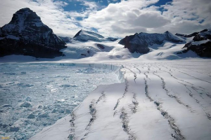 Арктичний заповідник: краса не жахлива холодна! Арктичний заповідник: краса не жахлива холодна!