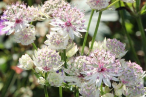 Перемикання Перемикання