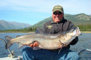 Belorybitsa - велика рибалка риба Belorybitsa - велика рибалка риба