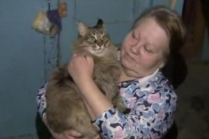 Бездомна кішка маша і дитина вона зберегла Бездомна кішка маша і дитина вона зберегла