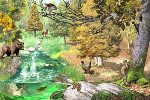 Біоценозний ліс Біоценозний ліс