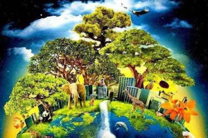 Біосфера Біосфера