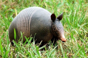 Barnighted connected Barnighted connected