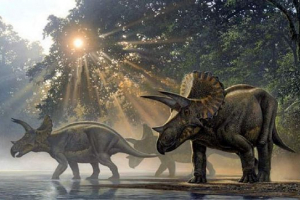 Ceratops. Хоробрий і сміливий Ceratops. Хоробрий і сміливий