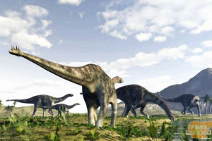 Cetiosaur. Історія відкриття цього типу динозаврів Cetiosaur. Історія відкриття цього типу динозаврів