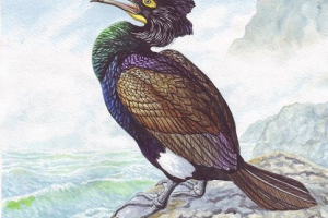 Чорна книга вимирає тварин Чорна книга вимирає тварин