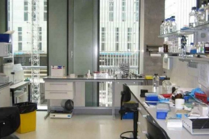 Що вивчається клітинна біологія? Що вивчається клітинна біологія?