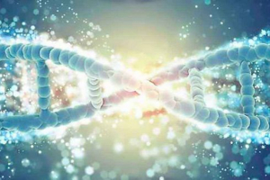 Що таке гени? Концепція, різновиди, мутації та спадковість