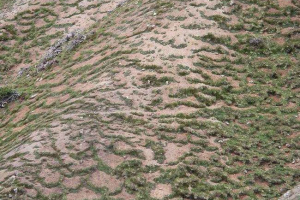 Що таке соліфлюбство? Що таке соліфлюбство?