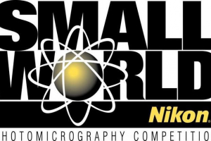 Чудеса чудеса: 27 фото - переможці нікон малий світ 2015 Чудеса чудеса: 27 фото - переможці нікон малий світ 2015