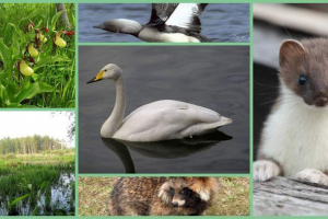 Заповідник дарвіна - колекція рідкісних зразків Заповідник дарвіна - колекція рідкісних зразків