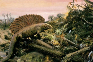 Диметрон Диметрон