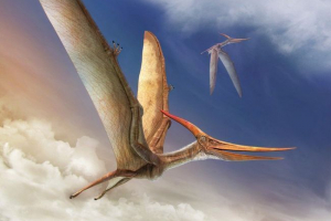 Динозавр птеранодон Динозавр птеранодон