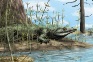 Старовинна ящірка наповнена білою плямою в еволюції Старовинна ящірка наповнена білою плямою в еволюції