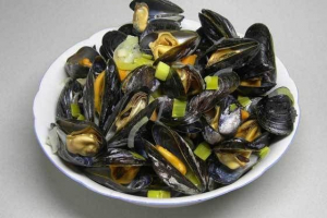 Bivalve mollusks Bivalve mollusks