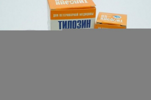 Фармакологічні властивості та спосіб використання тилозину в ветеринарній медицині Фармакологічні властивості та спосіб використання тилозину в ветеринарній медицині