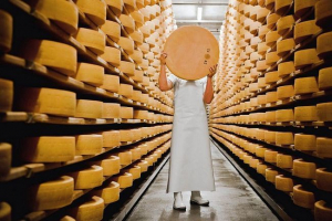 Французи отримують електрику з сиру Французи отримують електрику з сиру