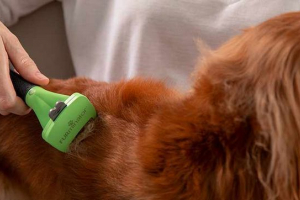 Фурмінатор для собак - переваги та недоліки Фурмінатор для собак - переваги та недоліки