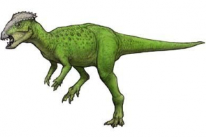 Гойцефаль Гойцефаль