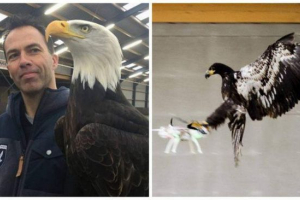 Голландські орли проти безпілотних Голландські орли проти безпілотних