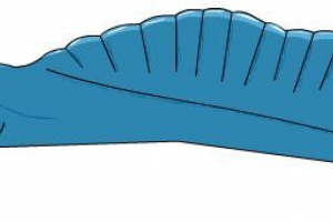 Чордовий Чордовий