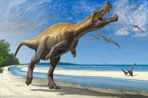 Подразник Подразник