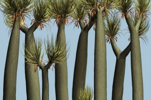 Зникнення рідкісних видів рослин Зникнення рідкісних видів рослин