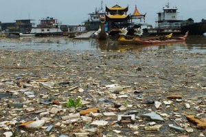 Екологічні проблеми японського моря Екологічні проблеми японського моря