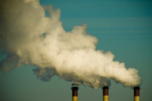 Екологічні проблеми новосибірськ Екологічні проблеми новосибірськ