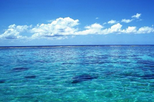 Екологічні проблеми океанів Екологічні проблеми океанів