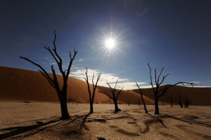 Екологічні проблеми пустелі та напівпустеля Екологічні проблеми пустелі та напівпустеля