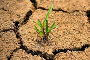 Екологічні проблеми уралу Екологічні проблеми уралу