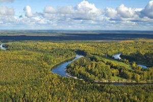 Екологічні проблеми західно-сибірської рівнини Екологічні проблеми західно-сибірської рівнини