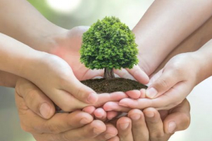 Екологічна колекція - що з ним не так? Екологічна колекція - що з ним не так?