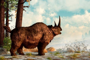 Елазмотори Елазмотори