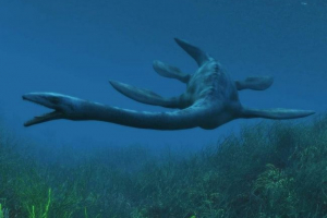 Еласмосаури - старовинні морські ящірки Еласмосаури - старовинні морські ящірки